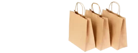 Paper Bags