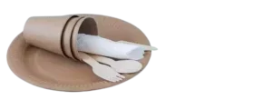 Paper Utensils