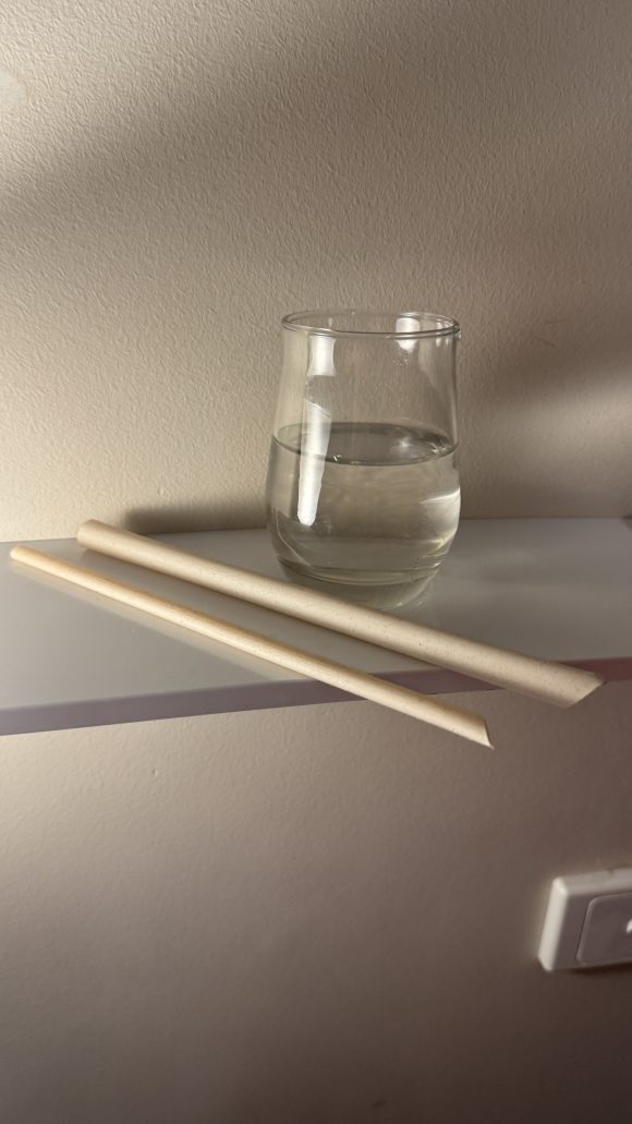 Sugarcane Straw, 6mm x 21cm - Image 2